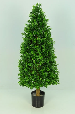 Boxwood Tower - PlantPeople