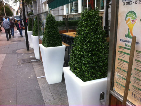 Outside Seating Area - PlantPeople