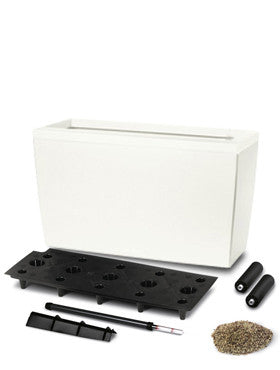 cararo self watering planter Cararo