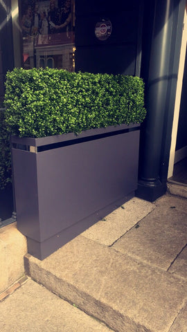 Dublin Shopfront - PlantPeople