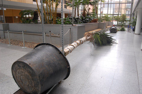 Atrium Plant - PlantPeople