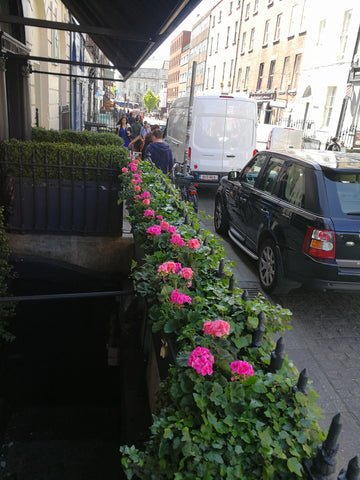 Dublin Shopfront - PlantPeople