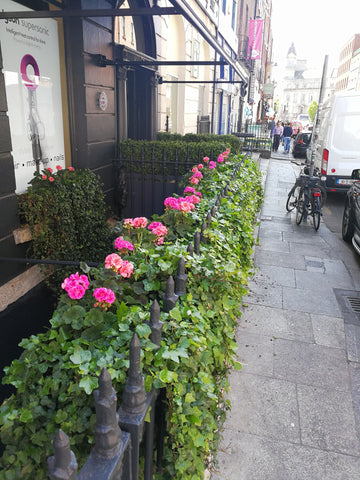 Dublin Shopfront - PlantPeople