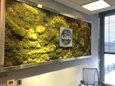 Preserved natural moss wall - PlantPeople