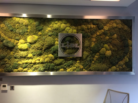 Preserved natural moss wall - PlantPeople