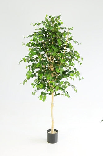 artificial potted birch trees