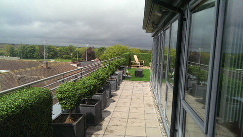Artificial Hedging- Penthouse. - PlantPeople