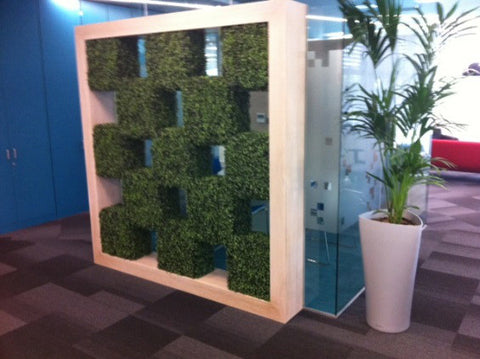 Office Space Divider. - PlantPeople