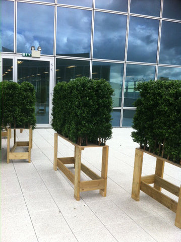 Office Rooftop Hedging. - PlantPeople