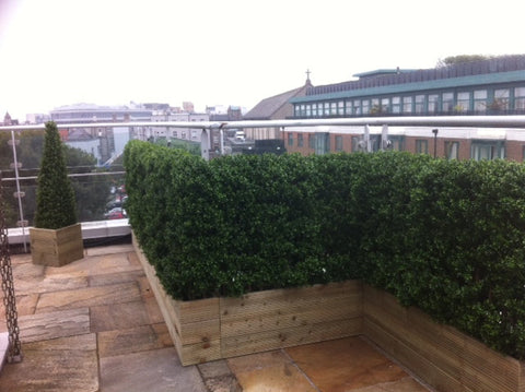 Dublin City Penthouse. - PlantPeople