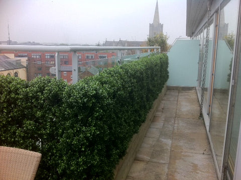 Dublin City Penthouse. - PlantPeople