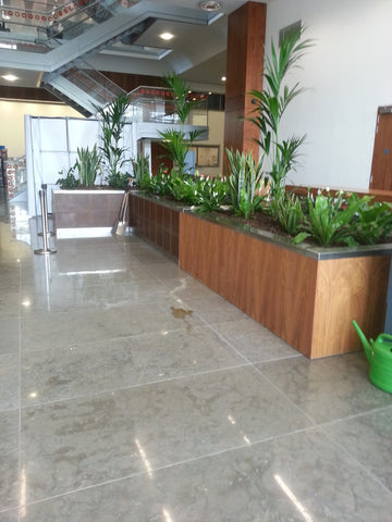 General Office Planting Gallery - PlantPeople
