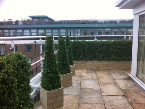 Dublin City Penthouse. - PlantPeople